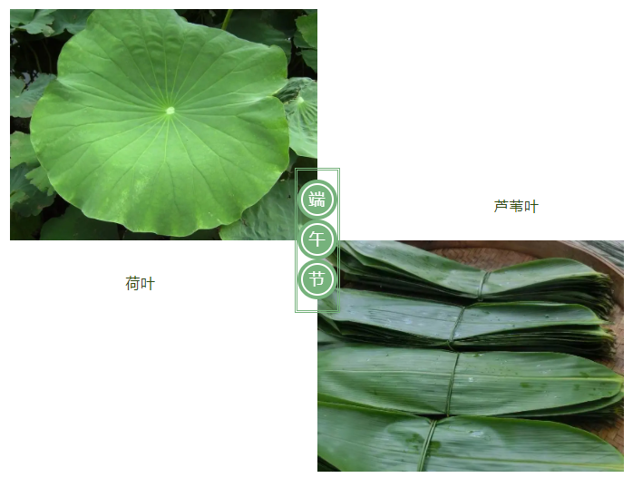 lewin乐玩医纺